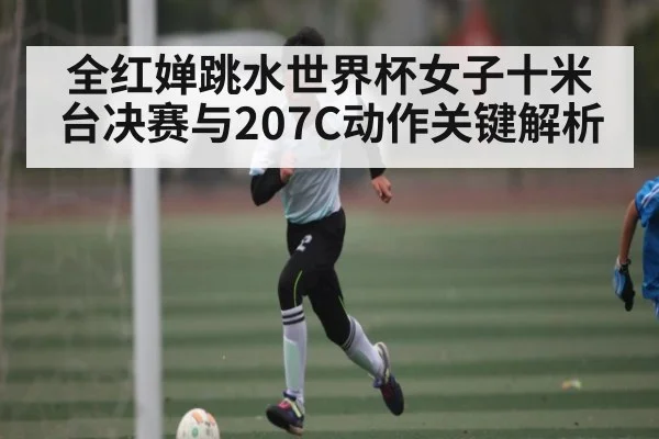 全红婵跳水世界杯女子十米台决赛与207C动作关键解析